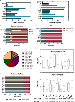 Difference of Intrahost Dynamics of the Second Human Pegivirus and Hepatitis C Virus in HPgV-2/HCV-Coinfected Patients